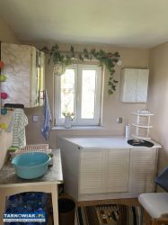 Sprzedam działkę ROD w Mościcach - Obrazek 4