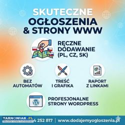 Nowoczesne strony WWW + promocja firmy w portalach - Obrazek 2