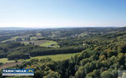 Działka 1,67 ha z lasem spokojna, zielona okolica - Obrazek 1