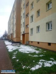Opróżnianie mieszkań, Wywóz śmieci, złomu, itp. - Obrazek 2