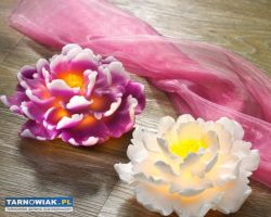 2 LED swieczki Chryzantemy, Kolor bialy-NOWE - Obrazek 1