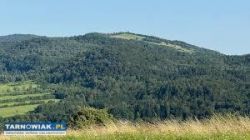 Kompleks działek Łysa Góra gm. Nowy Żmigród - Obrazek 1