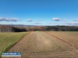 Działka na sprzedaż w Ołpinach gmina Szerzyny - Obrazek 1