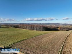Działka na sprzedaż w Ołpinach gmina Szerzyny - Obrazek 4