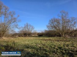 Lubaszowa – działka 29 arów w sąsiedztwie rzeki - Obrazek 2