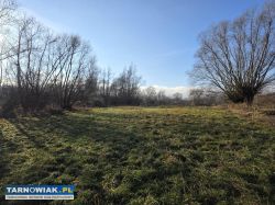 Lubaszowa – działka 29 arów w sąsiedztwie rzeki - Obrazek 3