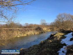 Lubaszowa – działka 29 arów w sąsiedztwie rzeki - Obrazek 4