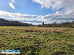 Ryglice–Twój własny kawałek ziemi z pięknym widok - Obrazek 1