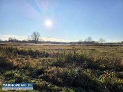 Idealna działka dla rolnika i inwestora – 1 ha - Obrazek 2