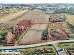 Idealna działka dla rolnika i inwestora – 1 ha - Obrazek 1