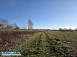 Idealna działka dla rolnika i inwestora – 1 ha - Obrazek 3