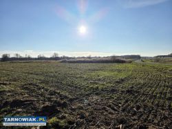 Idealna działka dla rolnika i inwestora – 1 ha - Obrazek 4