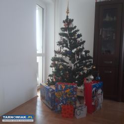 choinka wysoka na około 160-170 cm - Obrazek 1