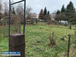 Działka Rod - Obrazek 2