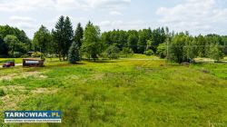 Działka budowlana 36 arów gm. Skrzyszów - Obrazek 1