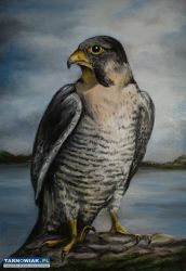 Obrazy Dla Ciebie Malowane Na Zamówienie - Obrazek 3