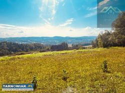 Działka z widokiem na Tatry - Siemiechów - Obrazek 4
