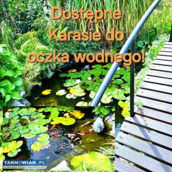 Pobieramy opłaty - pzw -zapraszamy - Obrazek 1