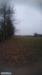 Dąbrówki Breńskie - działki na sprzedaż - Obrazek 4