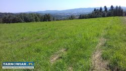 Działka budowlana Zabłędza - Obrazek 2