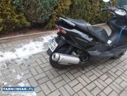 Yamaha majesty 125 - Obrazek 1