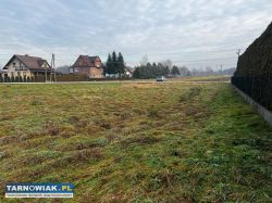 Działka z domem drewnianym gm. Dębno - Obrazek 2