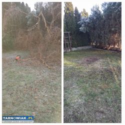 Prace ogrodnicze, brukarskie, porządkowe - Obrazek 2