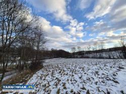 Działka 49ar | media | WZ w trakcie | przy drodze - Obrazek 1