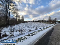 Działka 49ar | media | WZ w trakcie | przy drodze - Obrazek 2