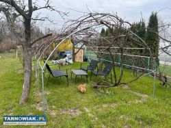 Sprzedam działkę  ROD Kalinka Tarnów - Obrazek 2
