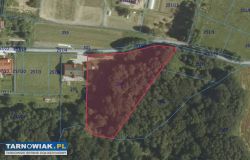 Nowodworze, sprzedaż, działką - Obrazek 1