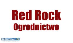 Cięcie drzew owocowych. Prace ogrodnicze - Obrazek 4