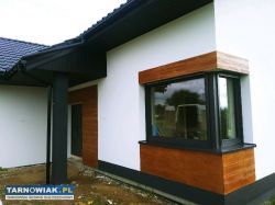 Elewacja i adaptacja poddaszy ! - Obrazek 2