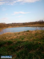 Kupie wydzierżawię działki pod żwirownie - Obrazek 1