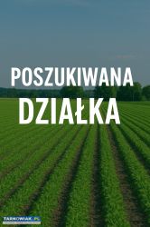 Poszukiwana działka budowlana ! - Obrazek 1