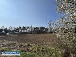 Działki z Wz Bobrowniki Wielkie k/Tarnowa - Obrazek 4