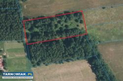 Atrakcyjna działka w Olszowej, gm. Zakliczyn - Obrazek 1