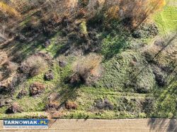 Atrakcyjna działka w Olszowej, gm. Zakliczyn - Obrazek 4