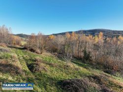 Atrakcyjna działka w Olszowej, gm. Zakliczyn - Obrazek 3