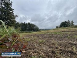 Działka budowlana w Tuchowie - Obrazek 3