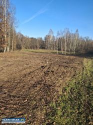 Piękna duża działka - Obrazek 2