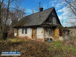 Działka z domem drewnianym gm. Dębno - Obrazek 3