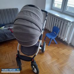 wózek 2 w 1 Adamex Aspena - Obrazek 2