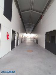 Powierzchnia magazynowa - Obrazek 2