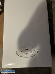 Kozioł gazowy dwufunkcyjny Semia F21 - Obrazek 1