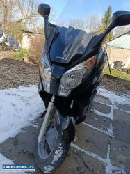 Honda fes 125 - Obrazek 1