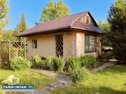 działka ROD Metalowiec - Obrazek 1