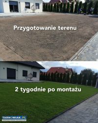 Systemy Automatycznego Nawadniania Montaż Sprzedaż - Obrazek 1
