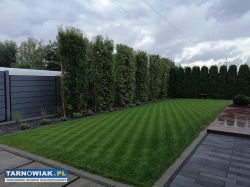 Zakładanie Ogrodów Projektowanie Realizacja - Obrazek 4