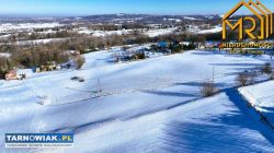 Grunt rolny koło Tarnowa - Obrazek 4